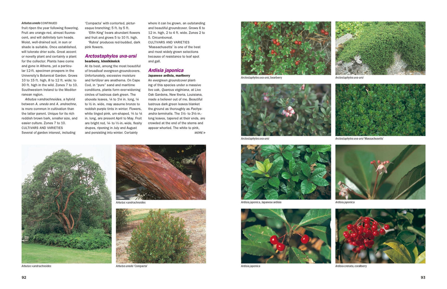 Dirr's Encyclopedia of Trees and Shrubs
