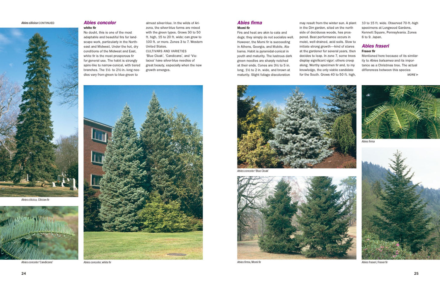 Dirr's Encyclopedia of Trees and Shrubs