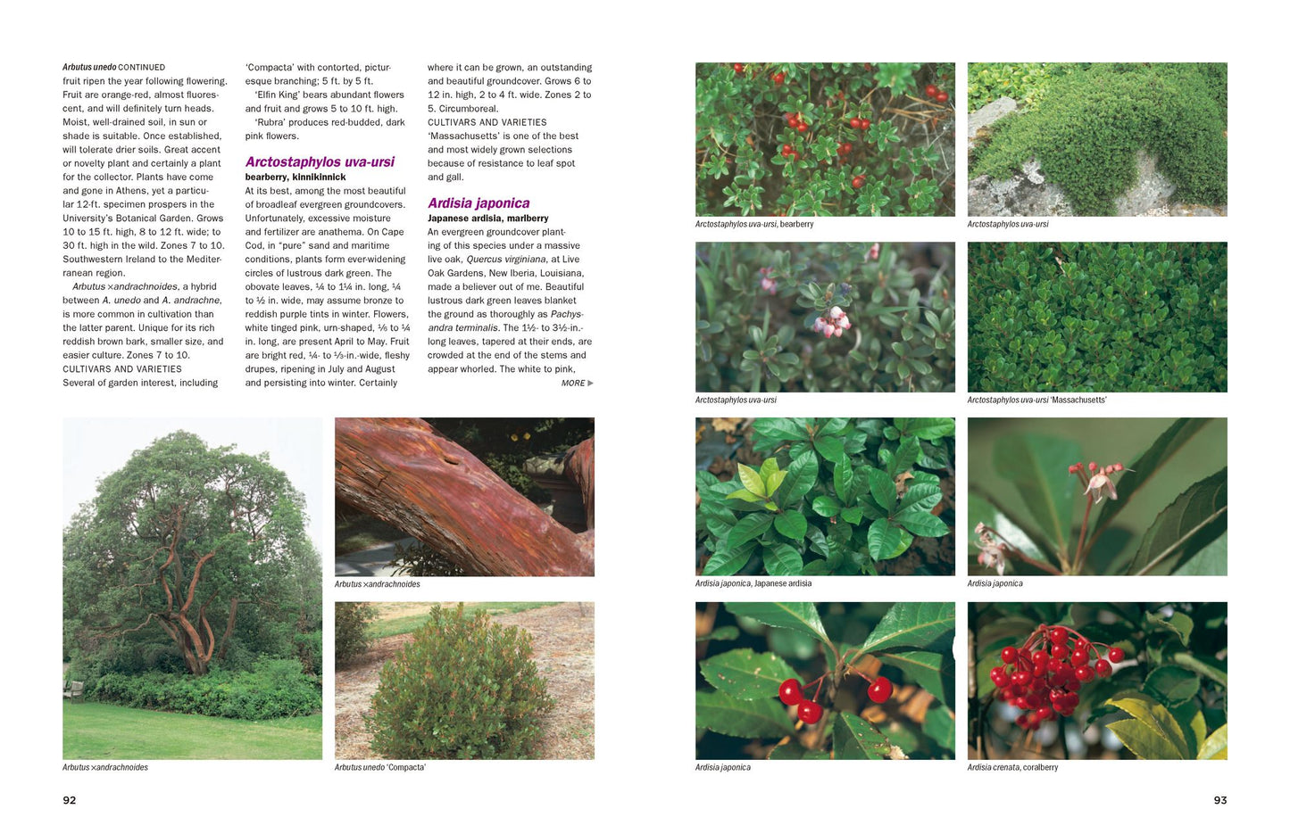 Dirr's Encyclopedia of Trees and Shrubs