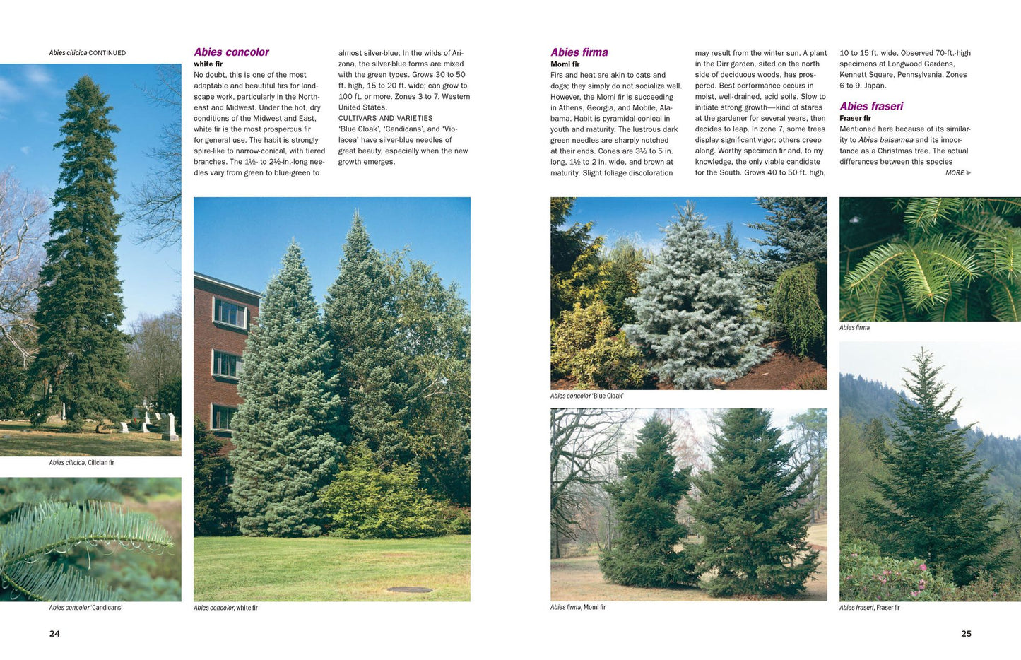 Dirr's Encyclopedia of Trees and Shrubs