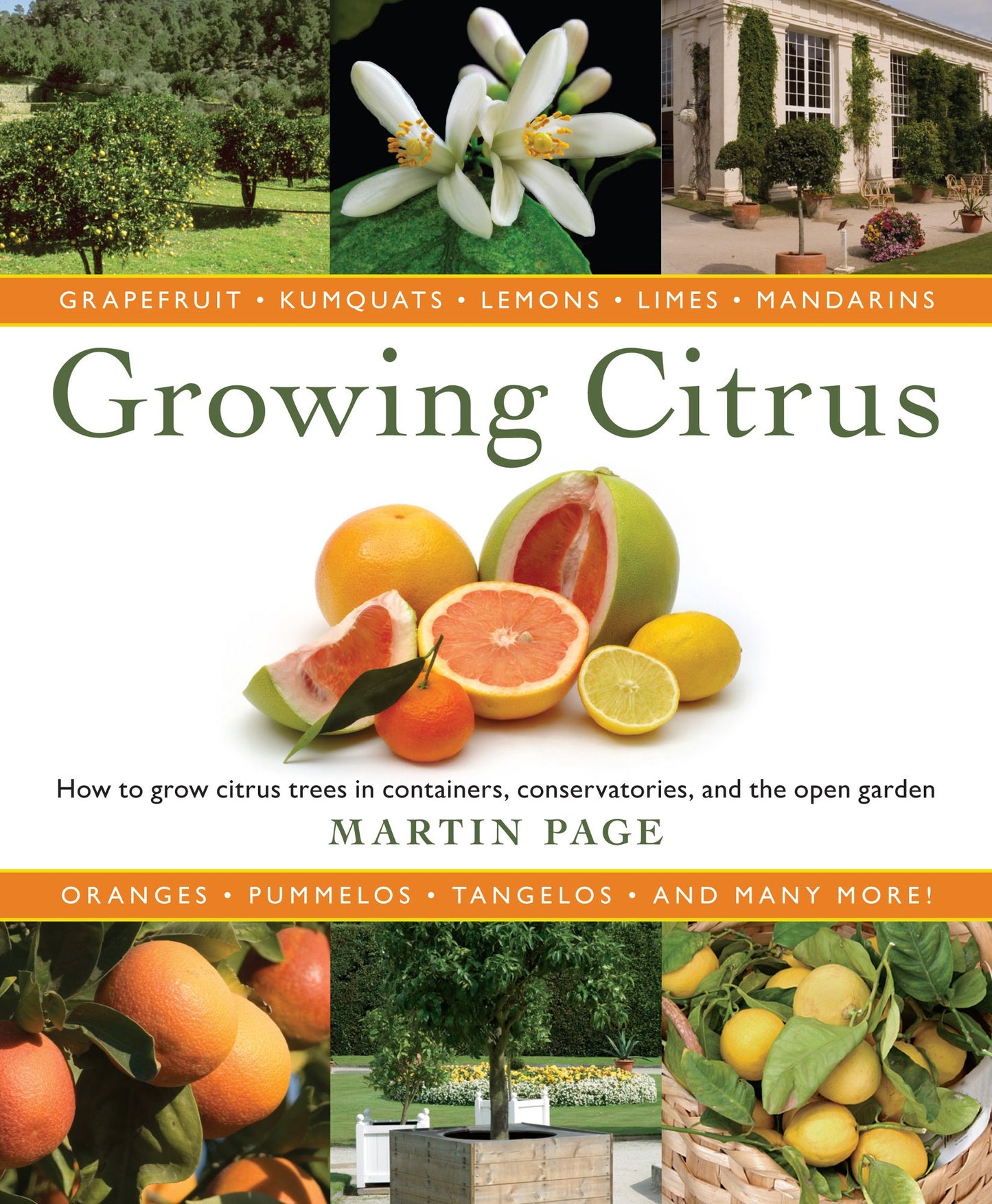 Growing Citrus: The Essential Gardener's Guide