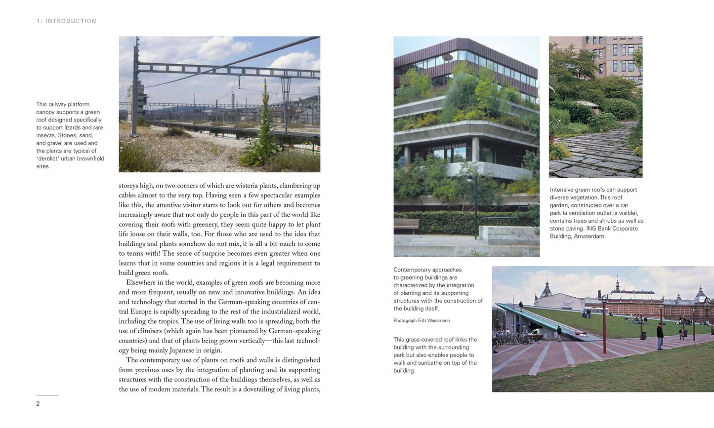 Planting Green Roofs and Living Walls