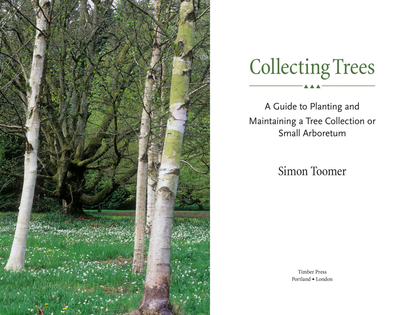 Planting and Maintaining a Tree Collection