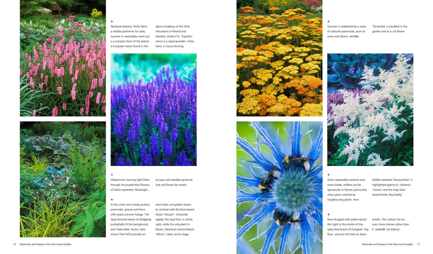 Bloom's Best Perennials and Grasses: Expert Plant Choices and Dramatic Combinations for Year-Round Gardens