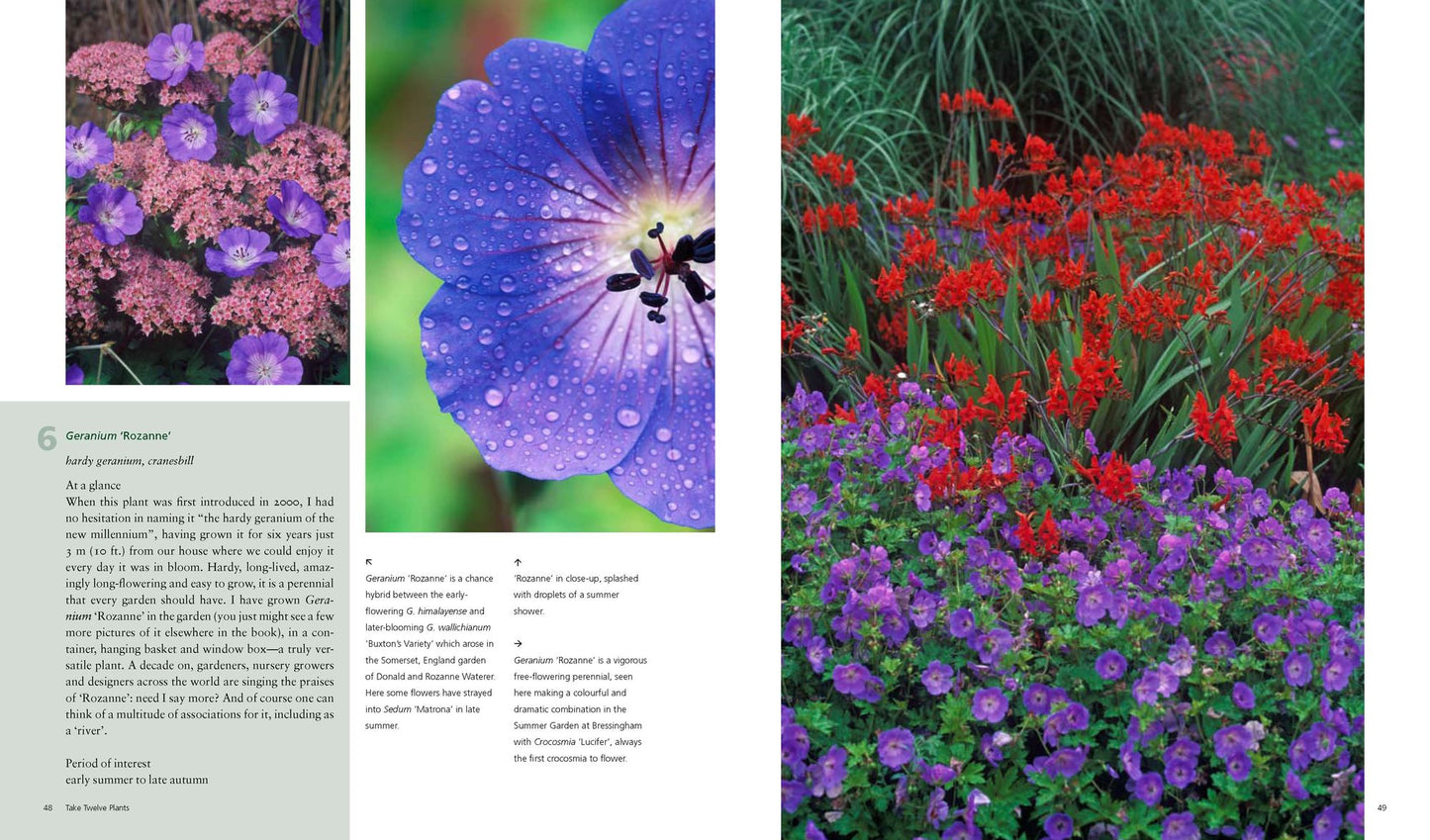Bloom's Best Perennials and Grasses: Expert Plant Choices and Dramatic Combinations for Year-Round Gardens