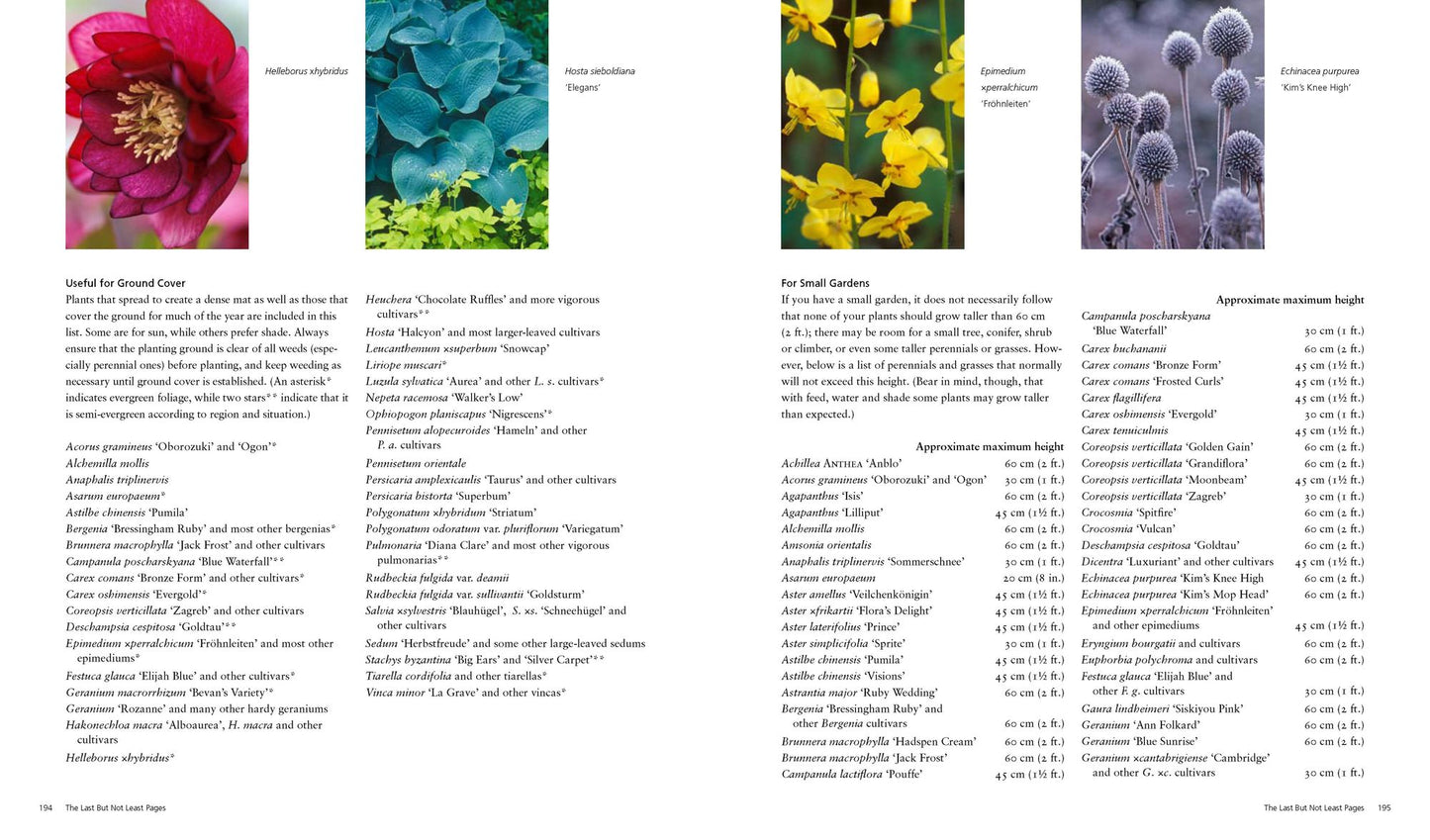 Bloom's Best Perennials and Grasses: Expert Plant Choices and Dramatic Combinations for Year-Round Gardens