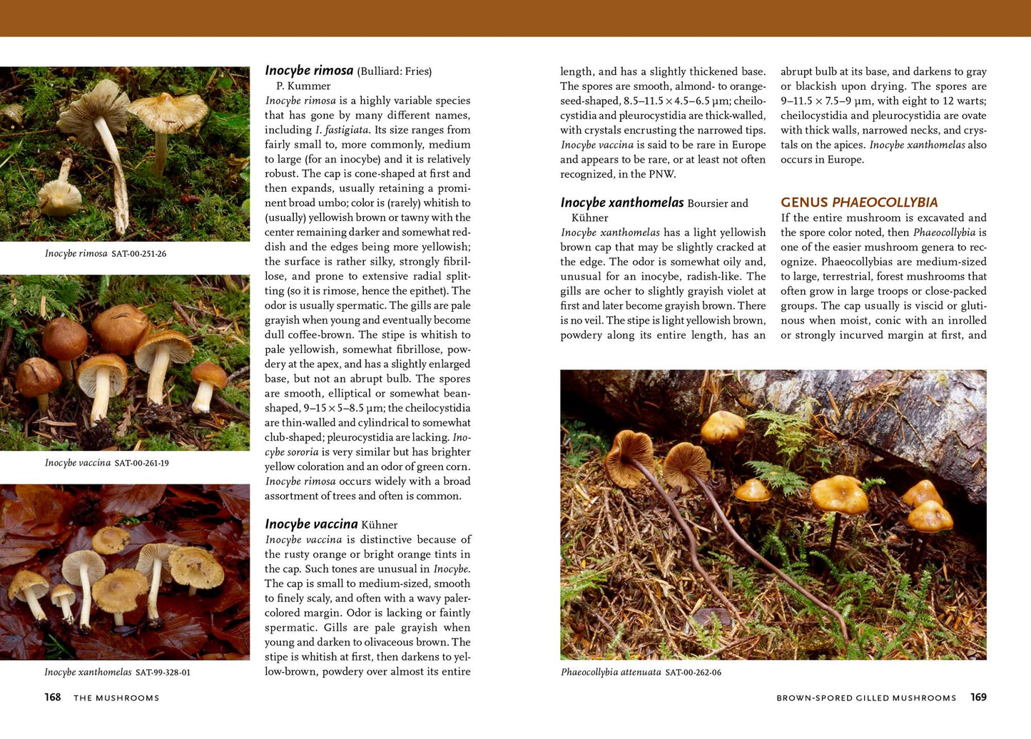 Mushrooms of the Pacific Northwest: Timber Press Field Guide