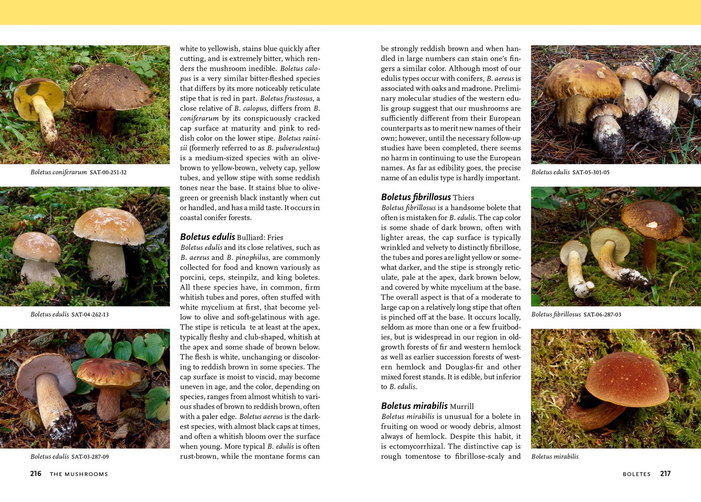 Mushrooms of the Pacific Northwest: Timber Press Field Guide