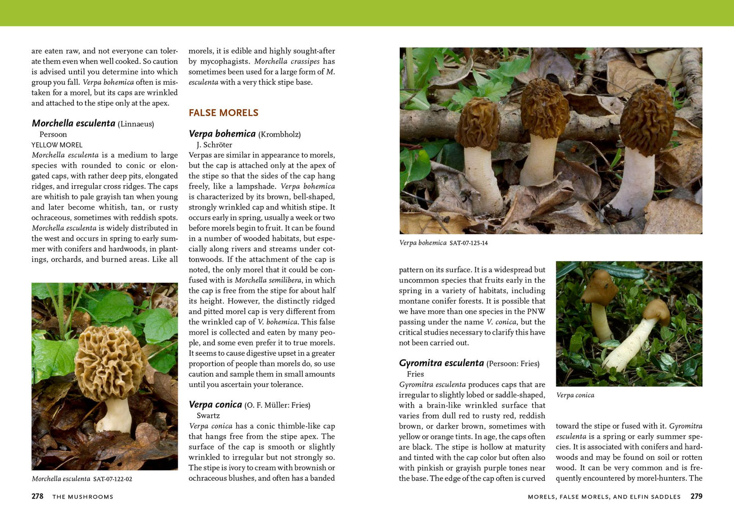 Mushrooms of the Pacific Northwest: Timber Press Field Guide