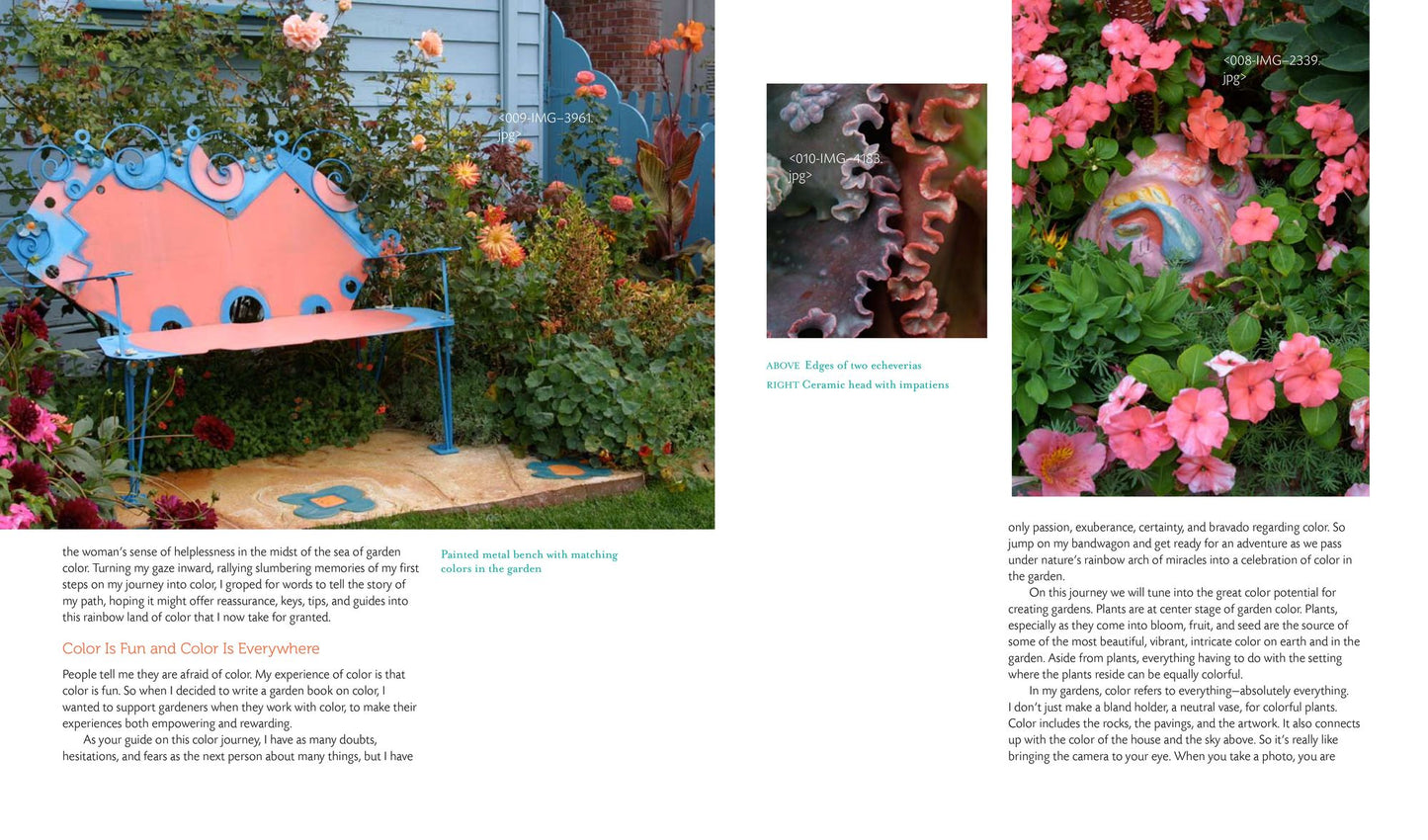 Fearless Color Gardens: The Creative Gardener's Guide to Jumping Off the Color Wheel