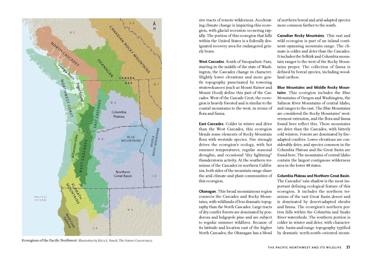 Wildlife of the Pacific Northwest: Tracking and Identifying Mammals, Birds, Reptiles, Amphibians, and Invertebrates