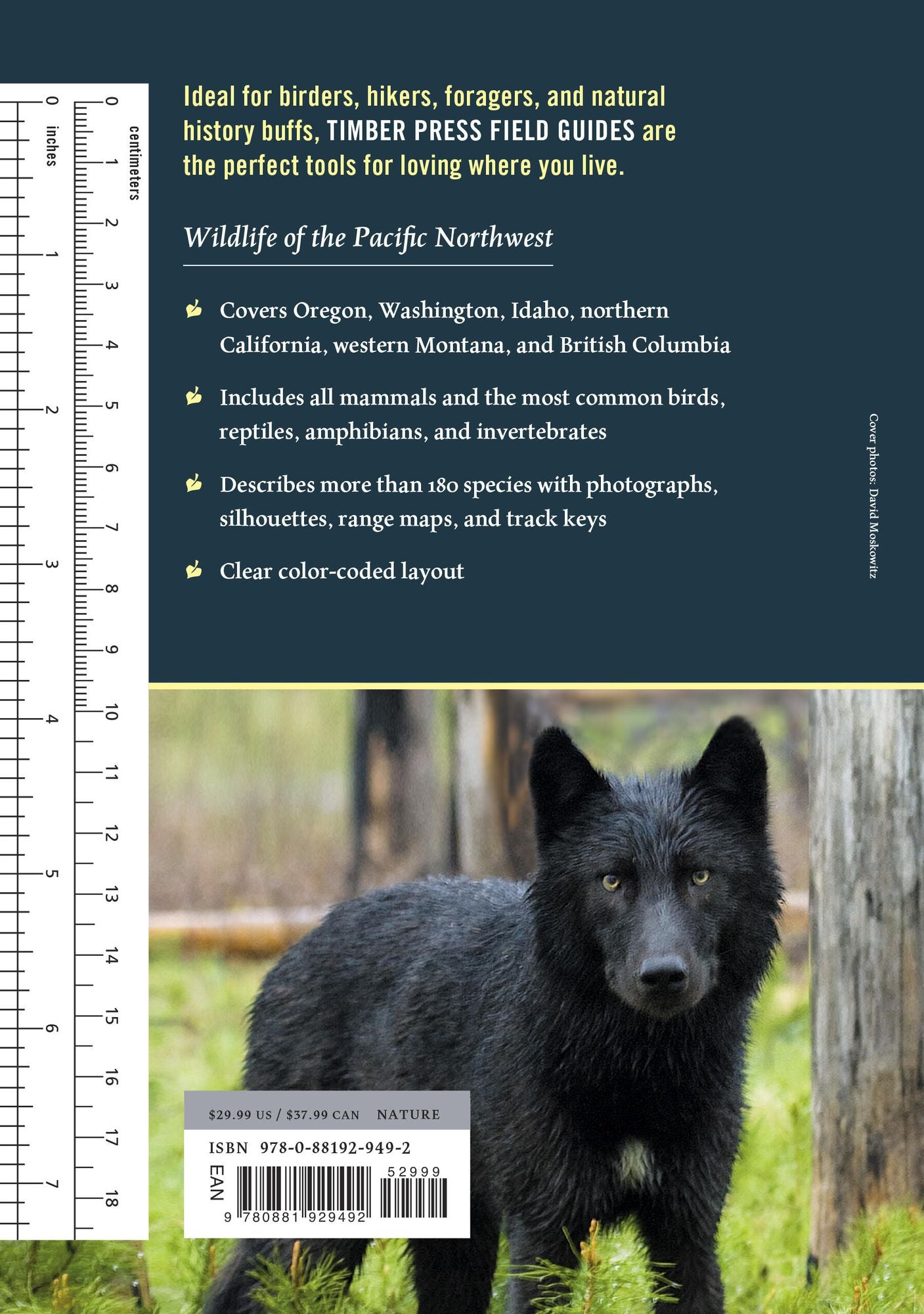 Wildlife of the Pacific Northwest: Tracking and Identifying Mammals, Birds, Reptiles, Amphibians, and Invertebrates