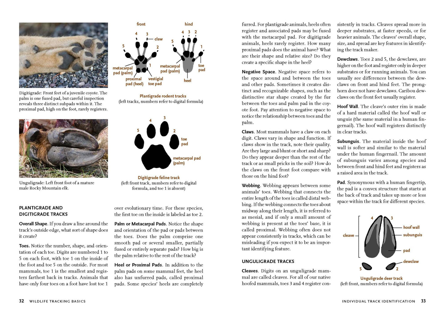 Wildlife of the Pacific Northwest: Tracking and Identifying Mammals, Birds, Reptiles, Amphibians, and Invertebrates