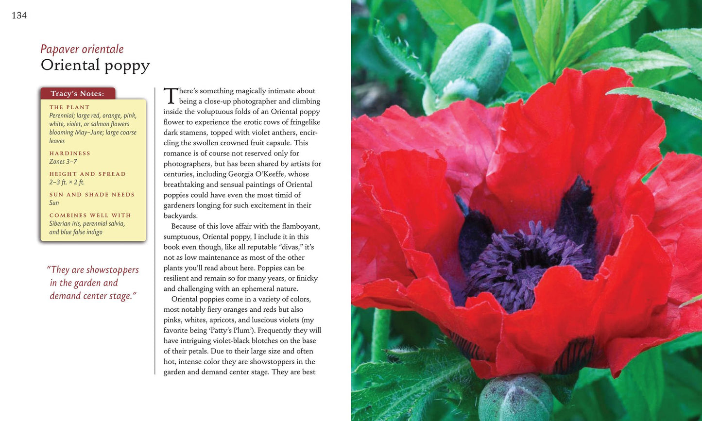 50 High-Impact, Low-Care Garden Plants
