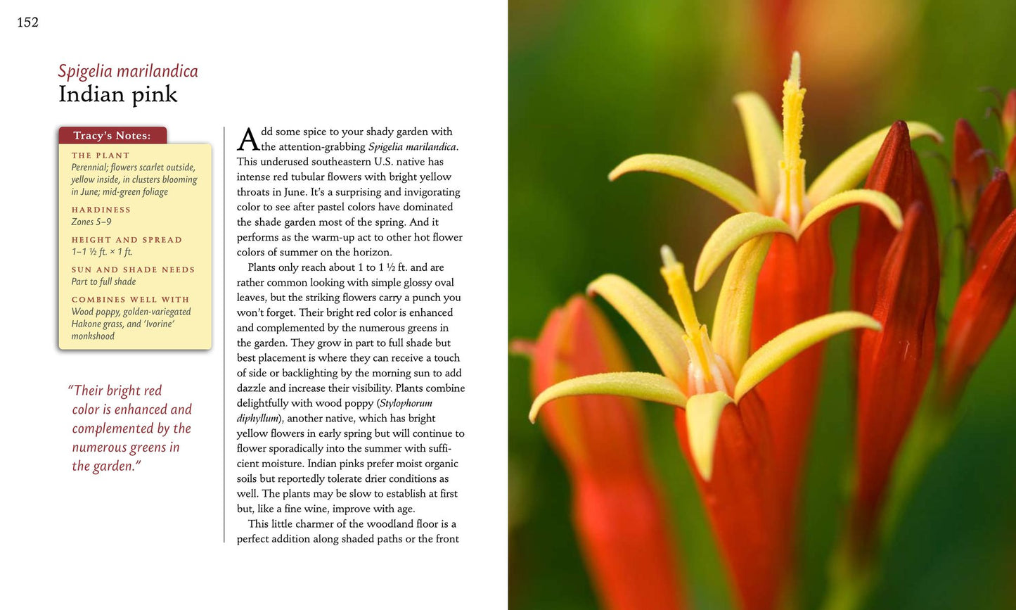 50 High-Impact, Low-Care Garden Plants