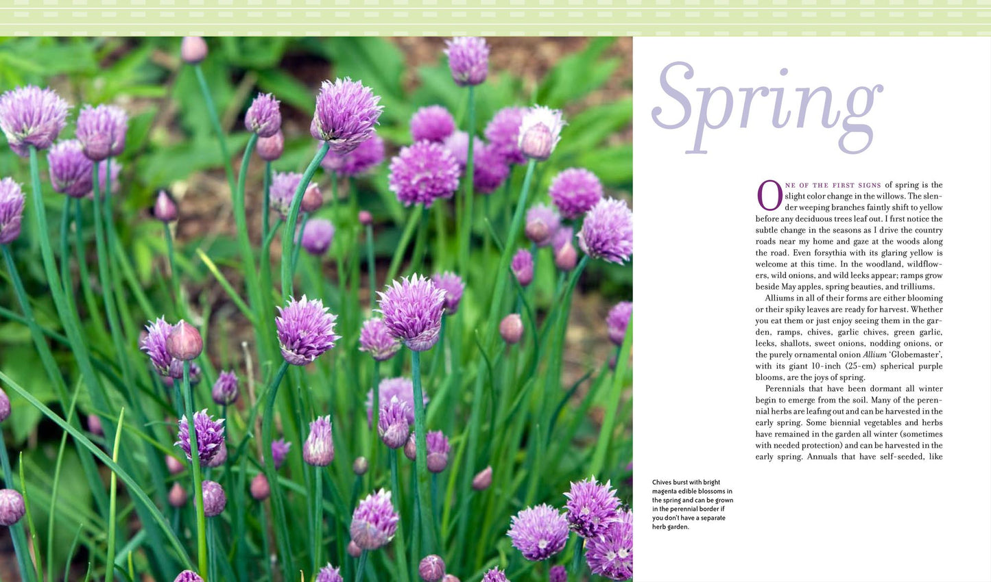 The Kitchen Gardener's Handbook