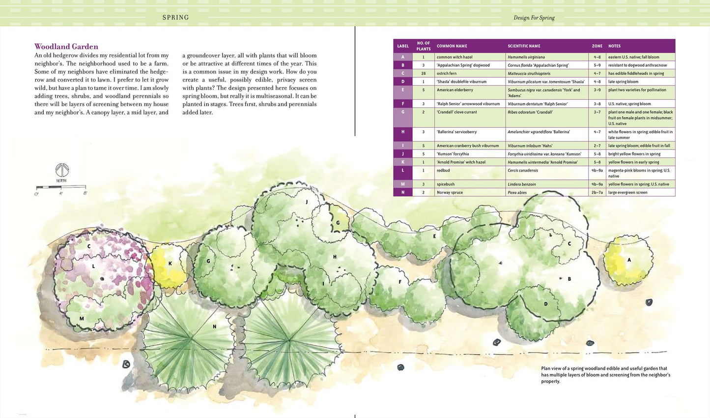 The Kitchen Gardener's Handbook