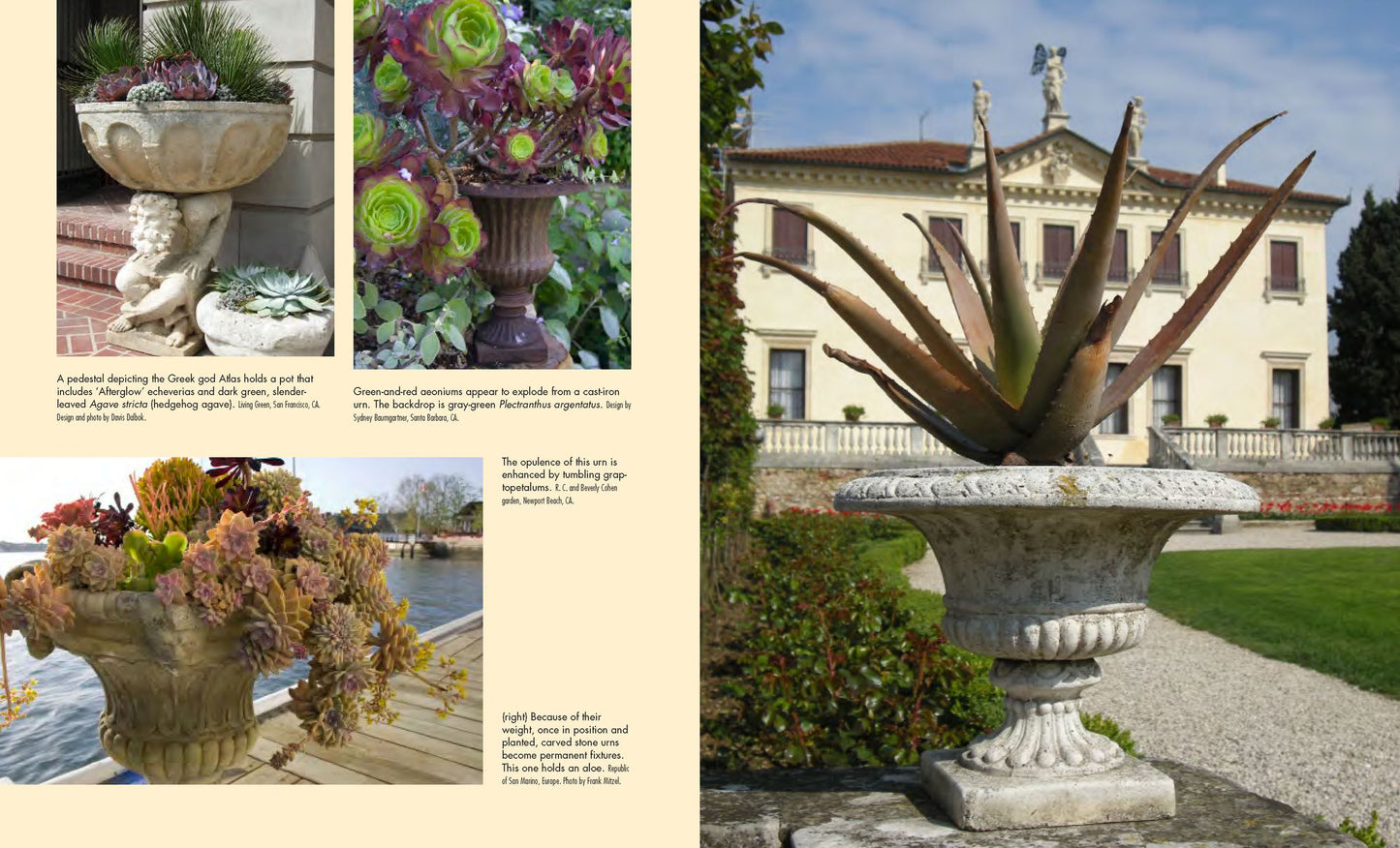 Succulent Container Gardens: Design Eye-Catching Displays with 350 Easy-Care Plants