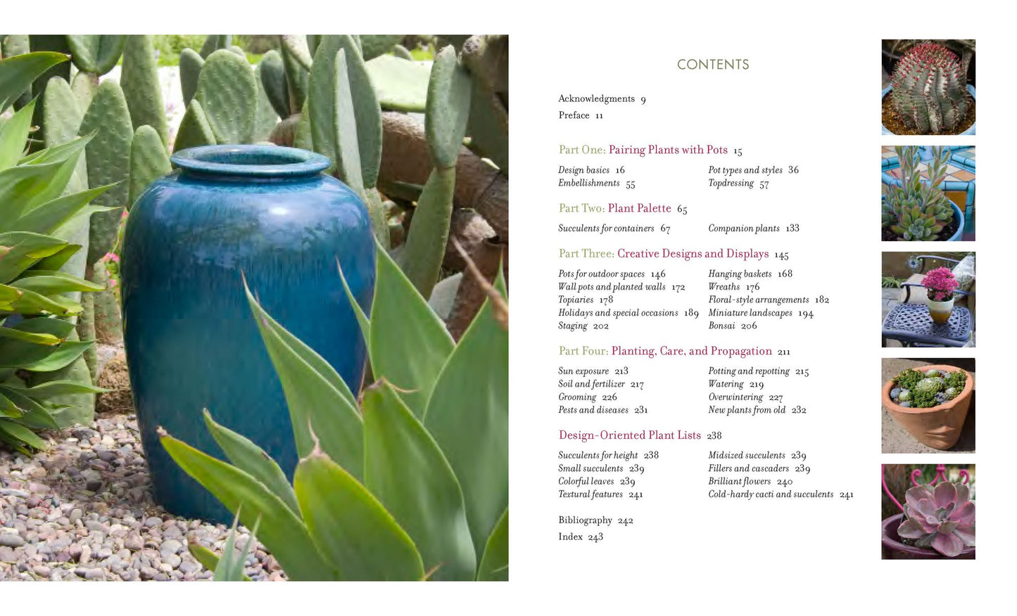 Succulent Container Gardens: Design Eye-Catching Displays with 350 Easy-Care Plants