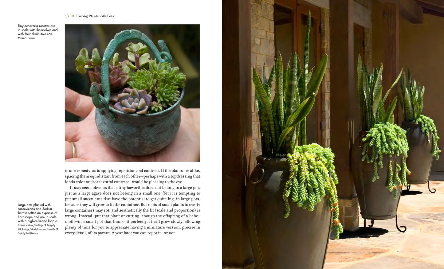 Succulent Container Gardens: Design Eye-Catching Displays with 350 Easy-Care Plants