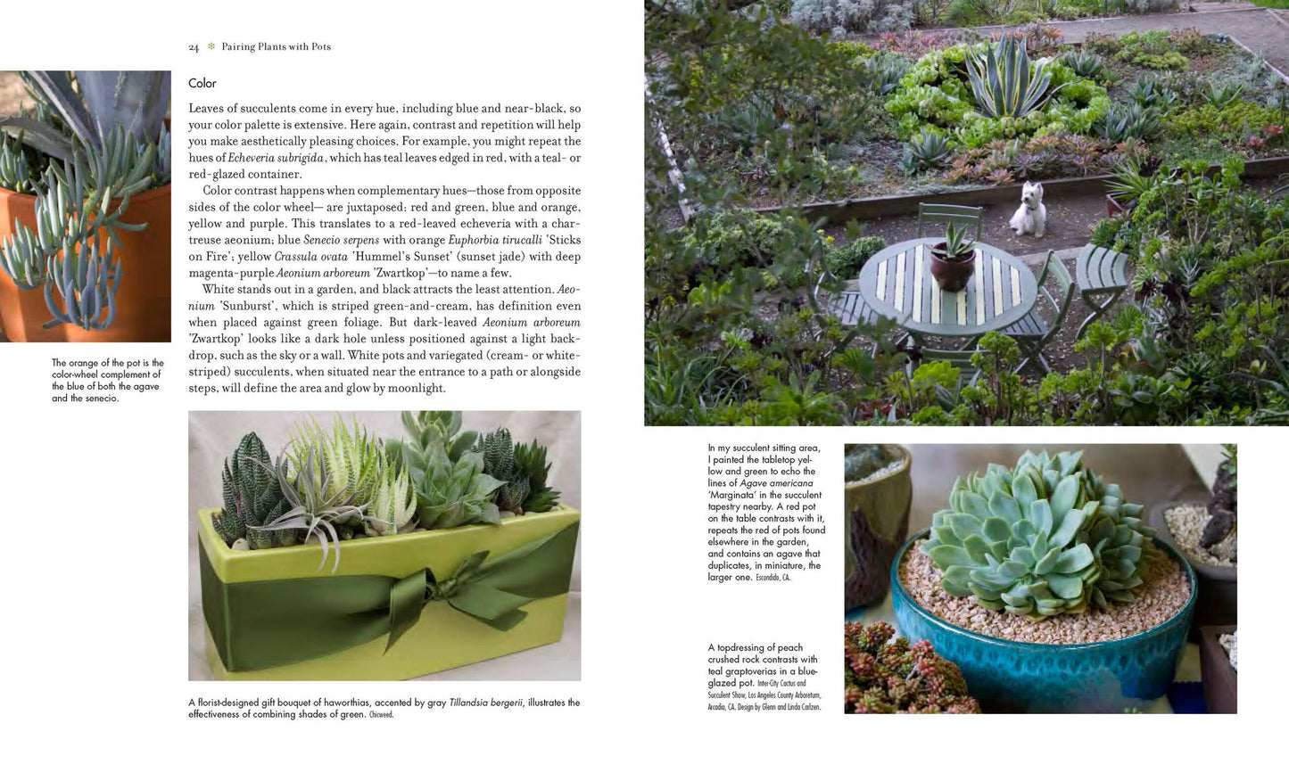 Succulent Container Gardens: Design Eye-Catching Displays with 350 Easy-Care Plants