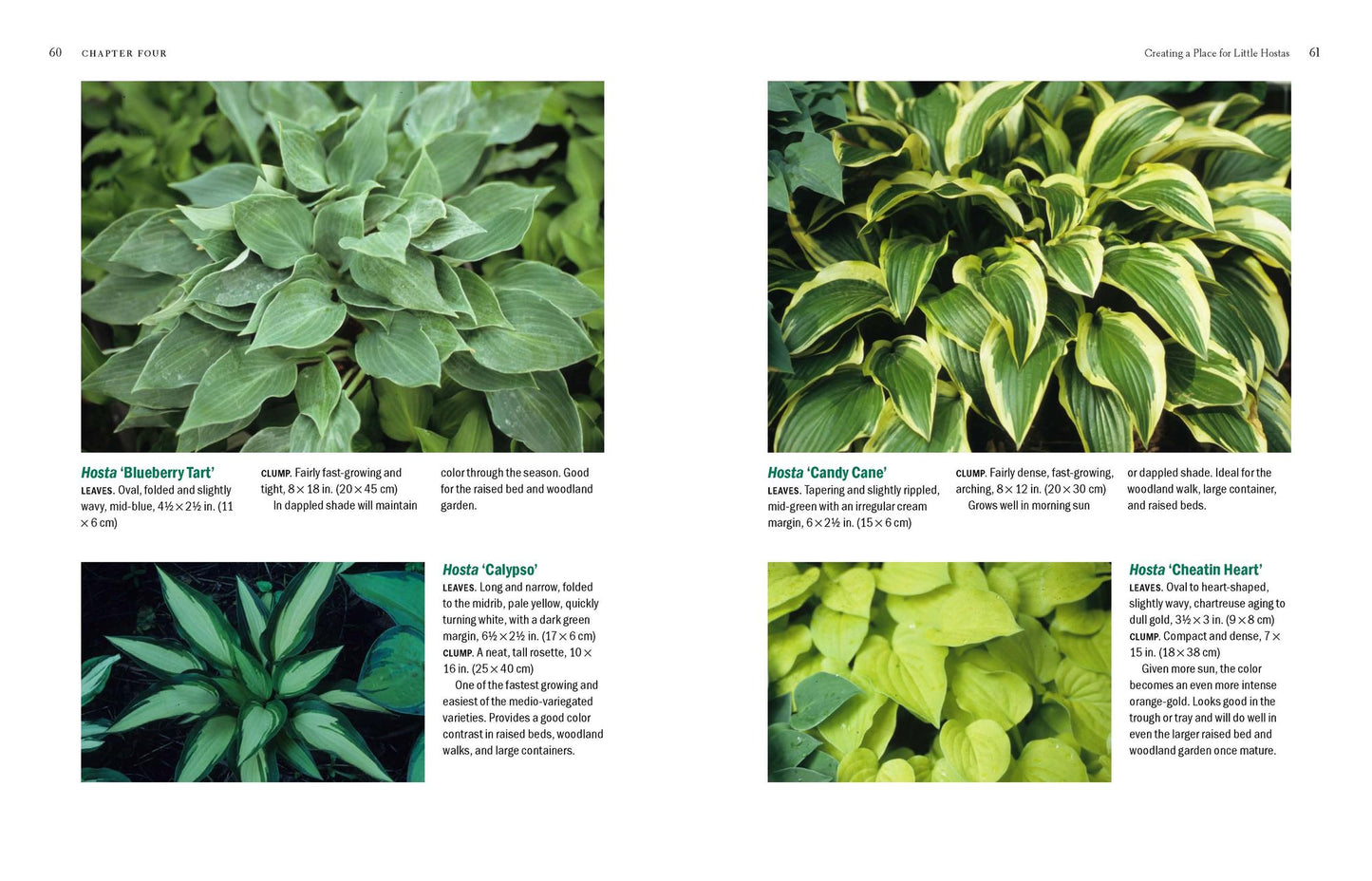 The New Encyclopedia of Hostas
