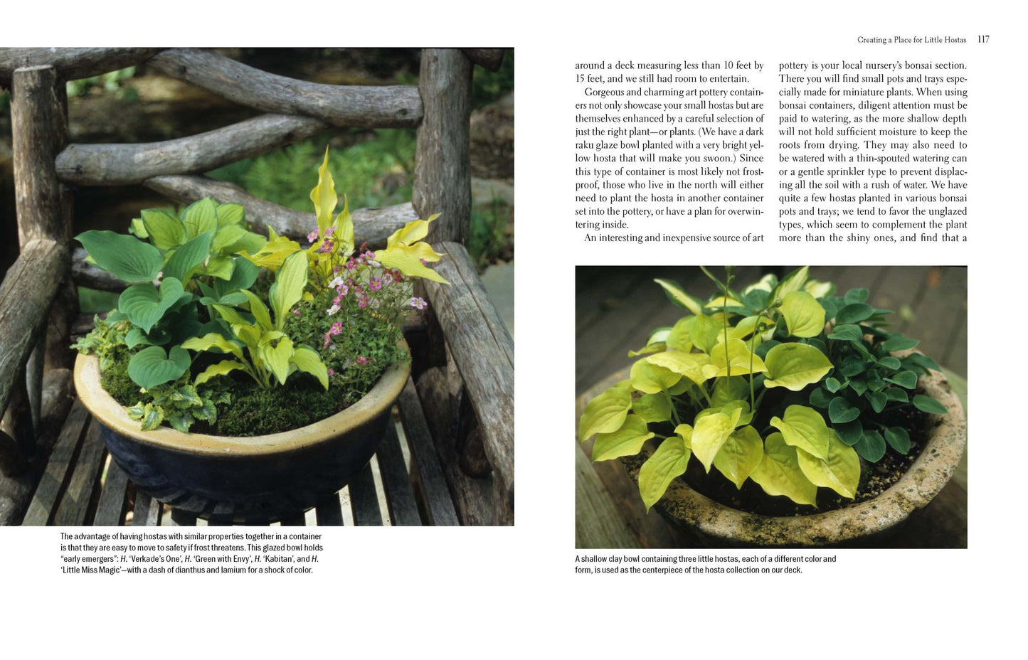 The New Encyclopedia of Hostas