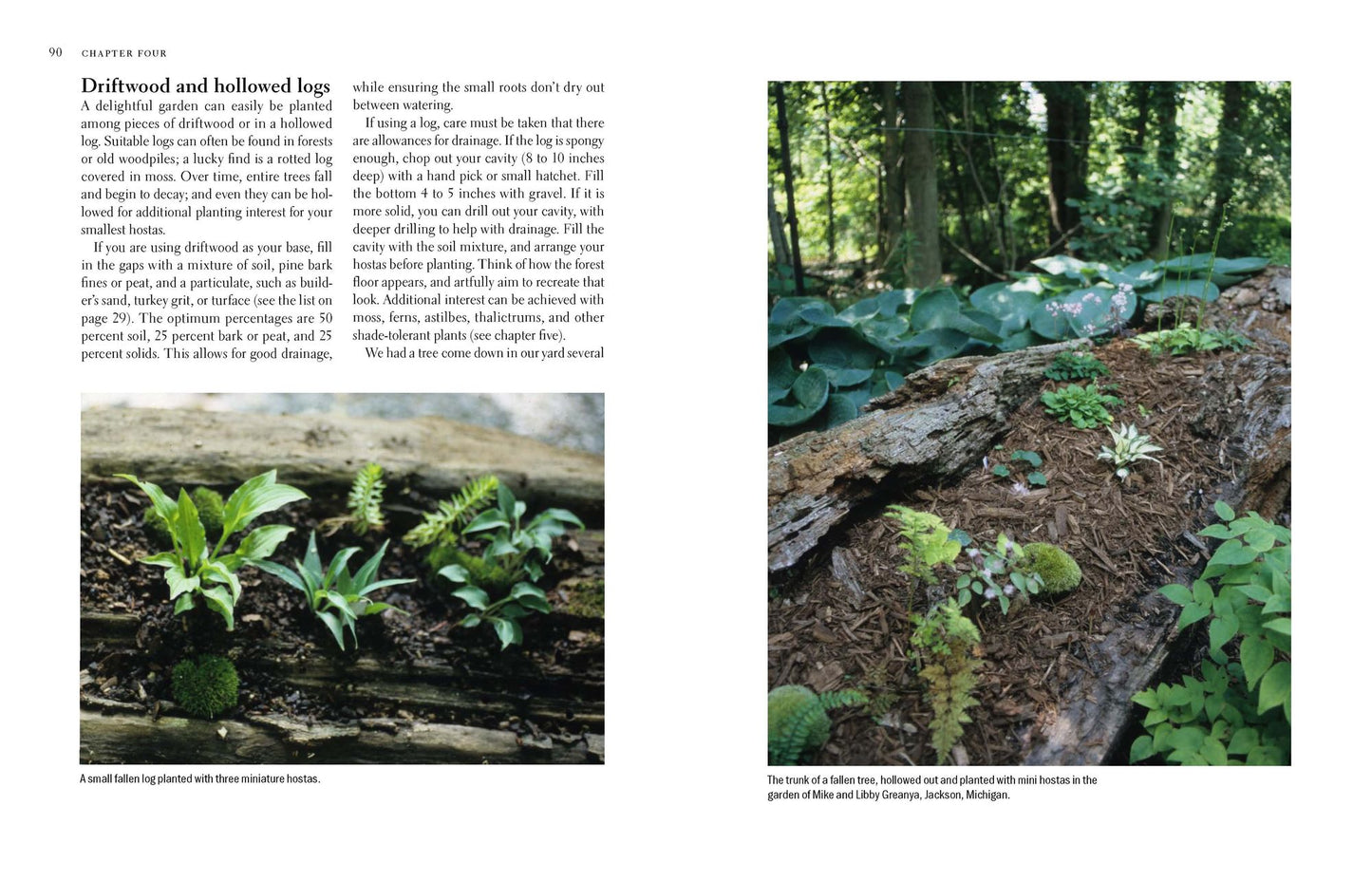 The New Encyclopedia of Hostas
