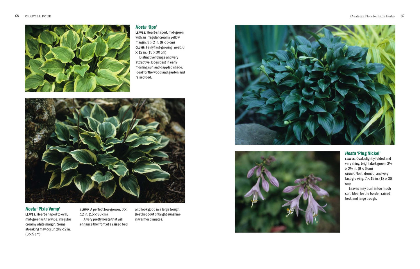 The New Encyclopedia of Hostas
