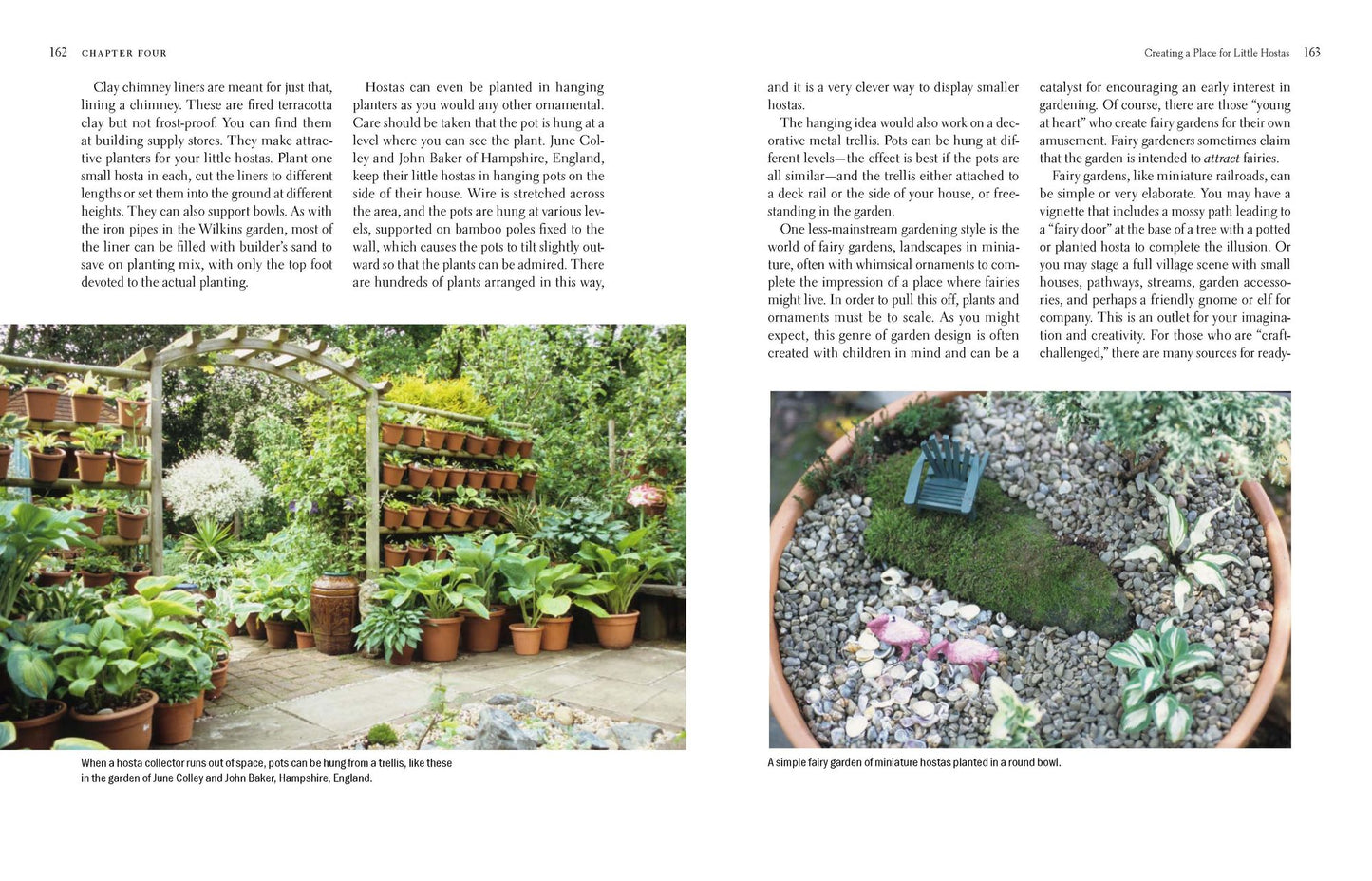 The New Encyclopedia of Hostas