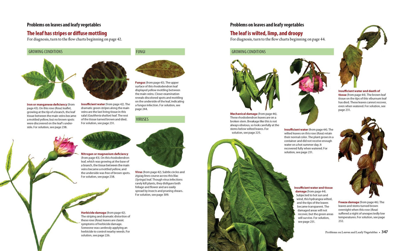 What's Wrong With My Plant? (And How Do I Fix It?): A Visual Guide to Easy Diagnosis and Organic Remedies