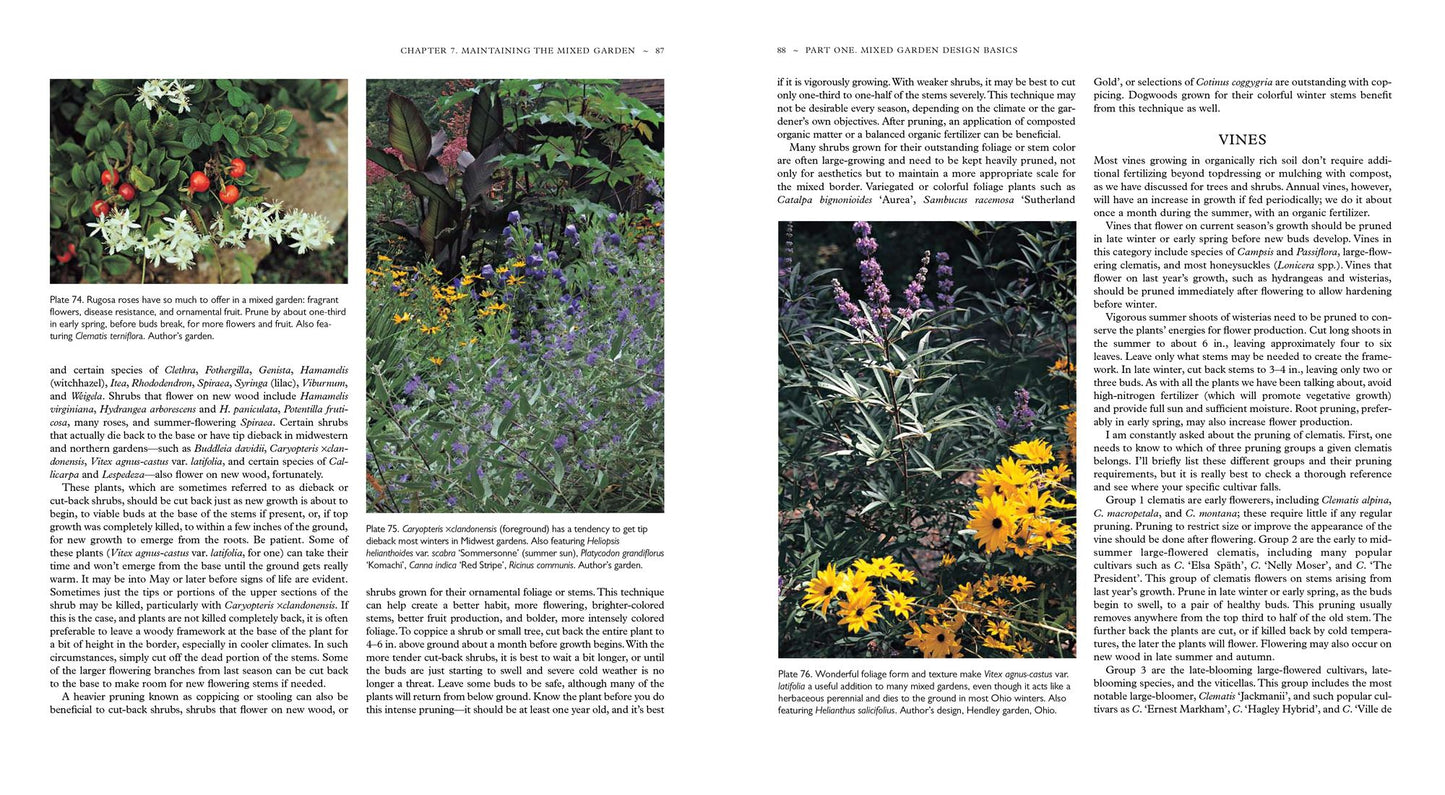 The Well-Designed Mixed Garden: Building Beds and Borders with Trees, Shrubs, Perennials, Annuals, and Bulbs