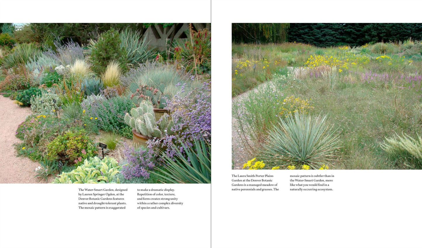 From Art to Landscape: Unleashing Creativity in Garden Design