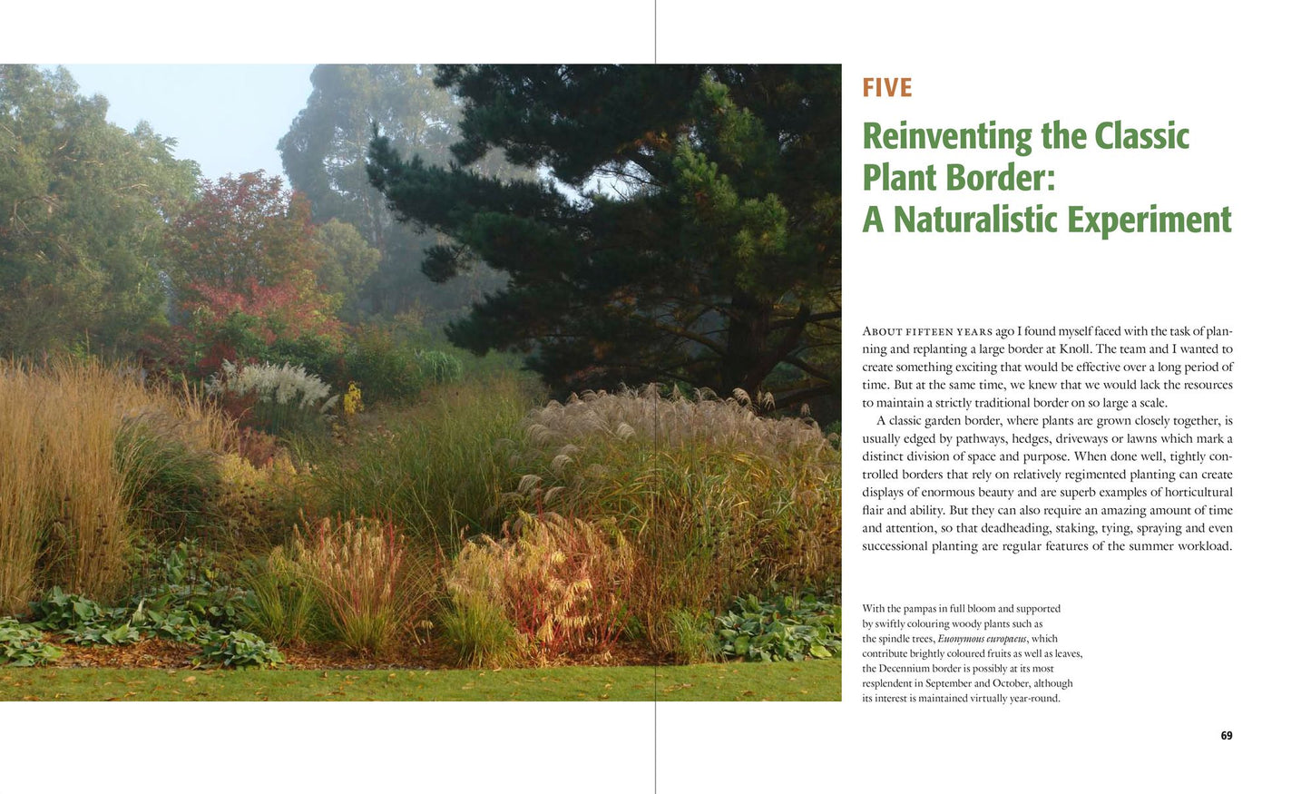 Designing with Grasses