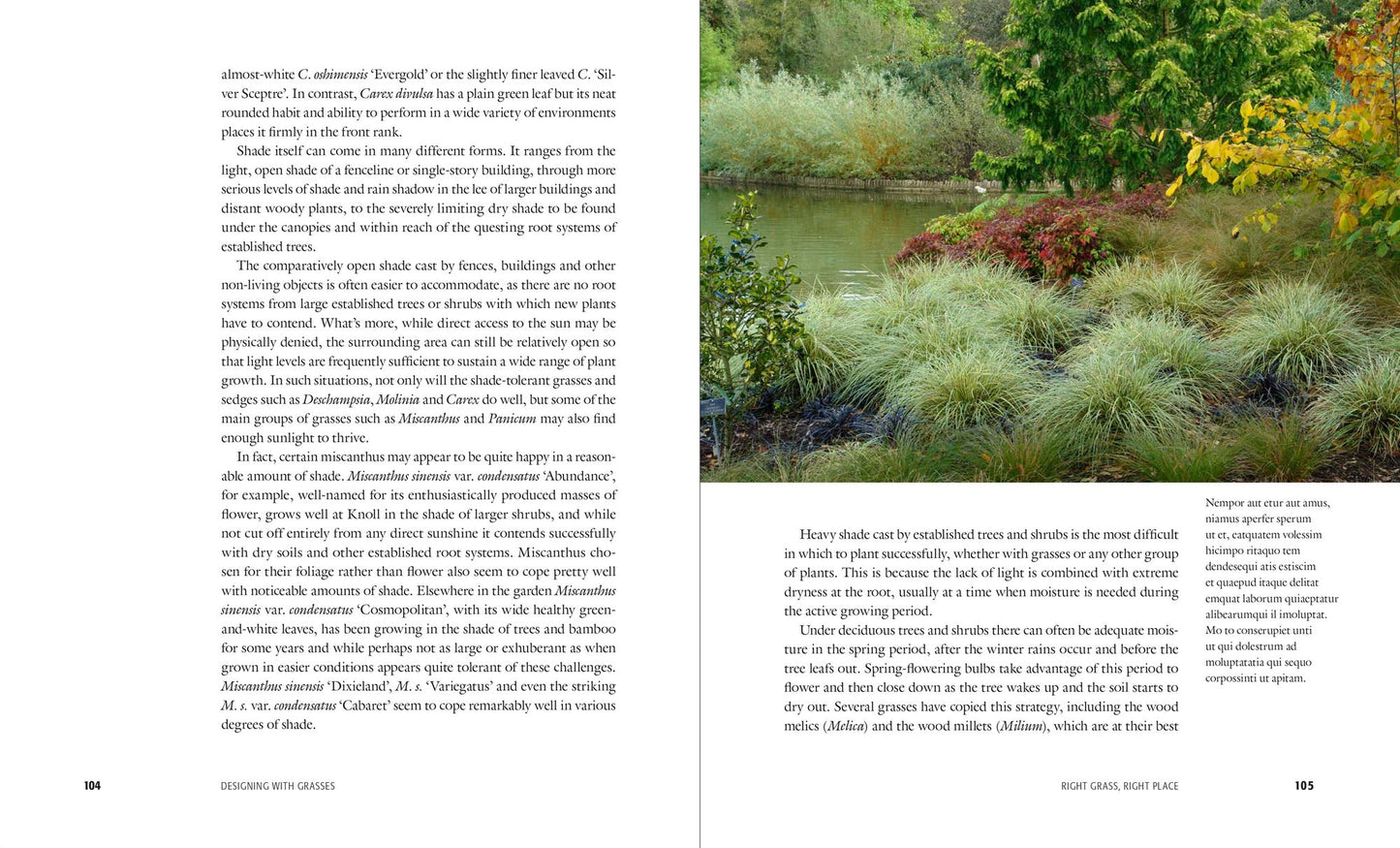 Designing with Grasses