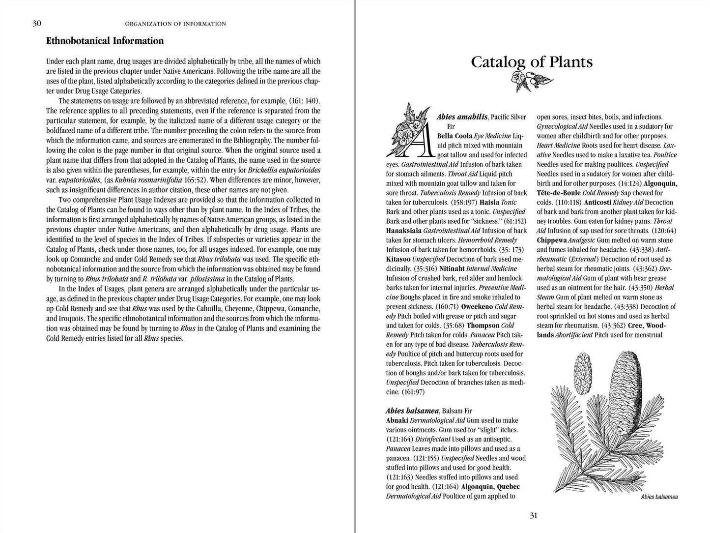 Native American Medicinal Plants: An Ethnobotanical Dictionary