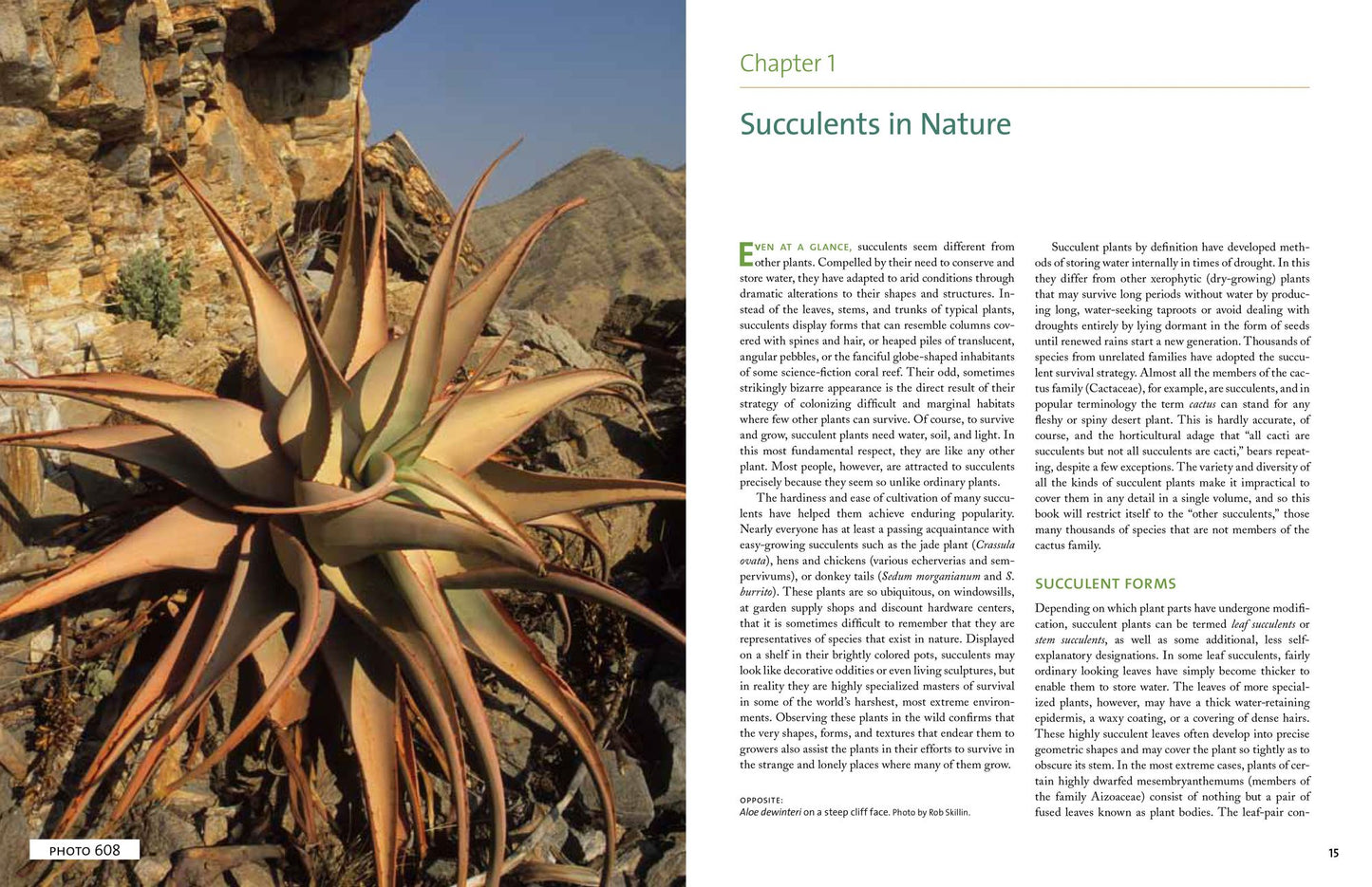 The Timber Press Guide to Succulent Plants of the World: A Comprehensive Reference to More than 2000 Species