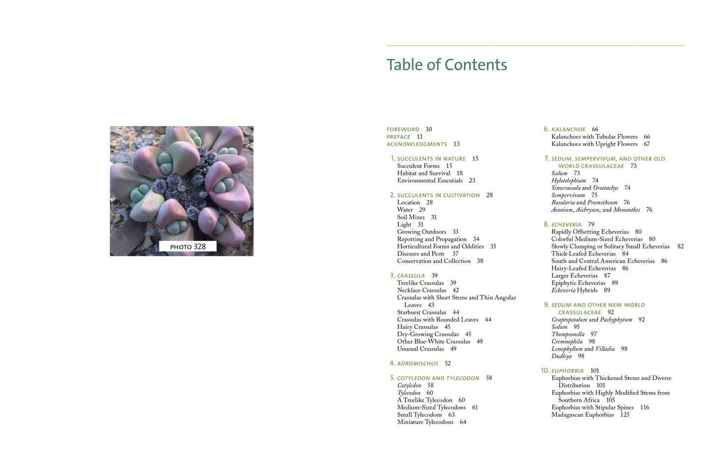The Timber Press Guide to Succulent Plants of the World: A Comprehensive Reference to More than 2000 Species