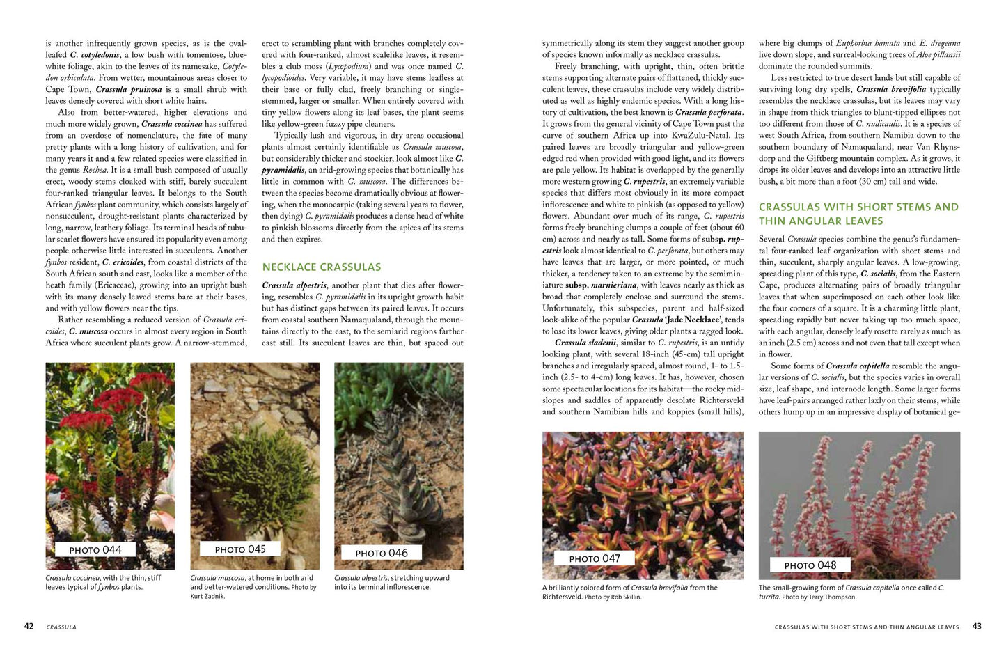 The Timber Press Guide to Succulent Plants of the World: A Comprehensive Reference to More than 2000 Species