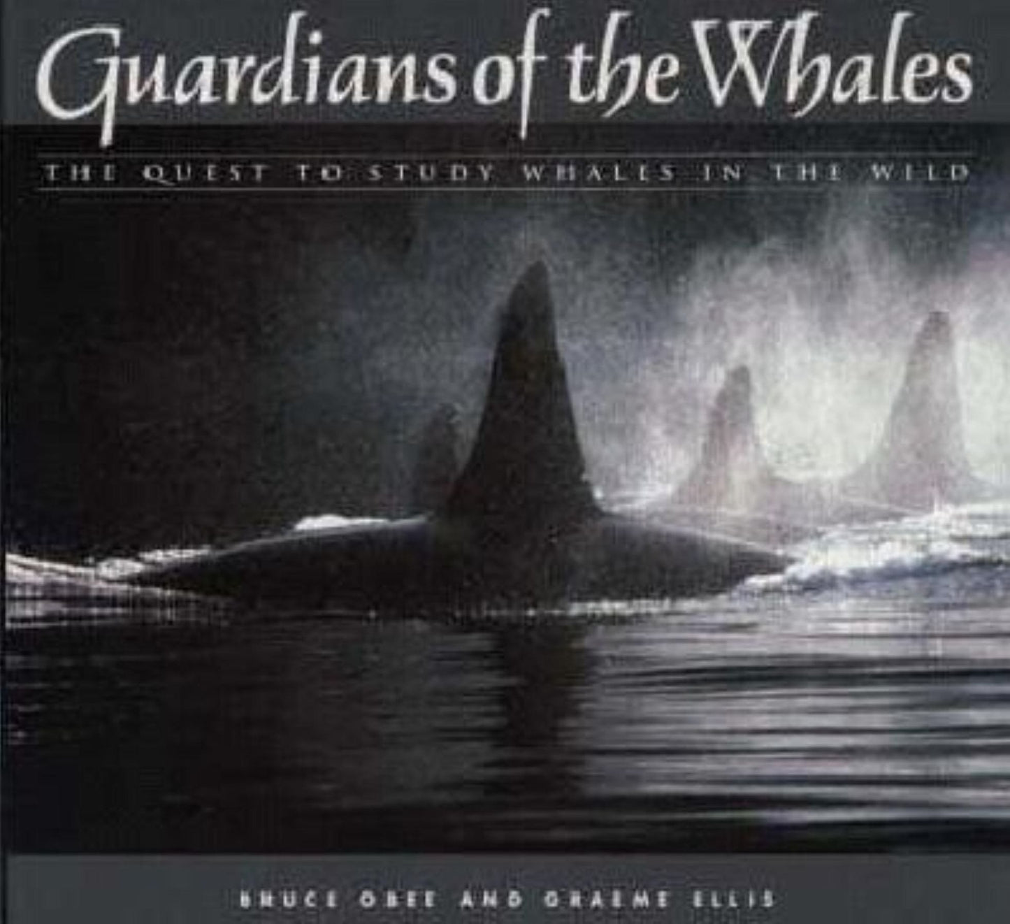 Guardians of the Whales: The Quest to Study Whales in the Wild