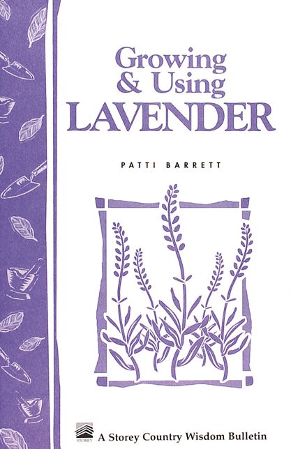 Growing and Using Lavender