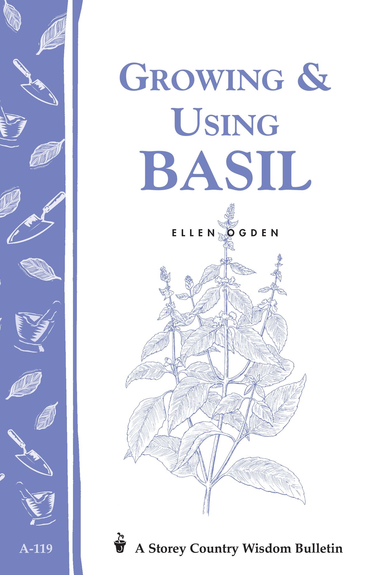 Growing and Using Basil