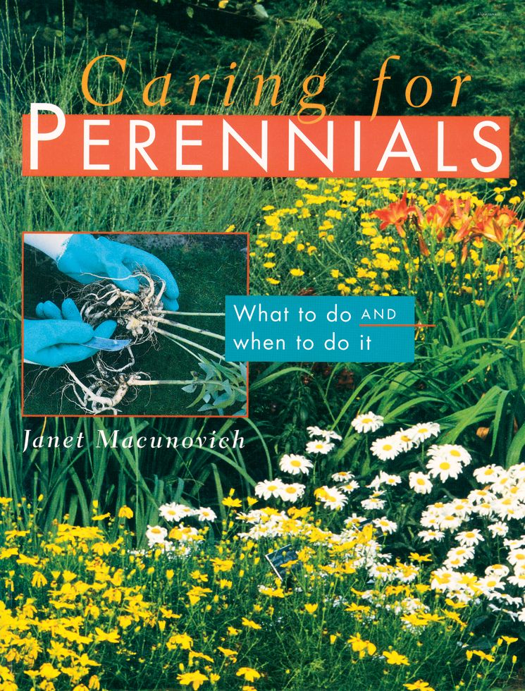 Caring for Perennials: What to Do and When to Do It
