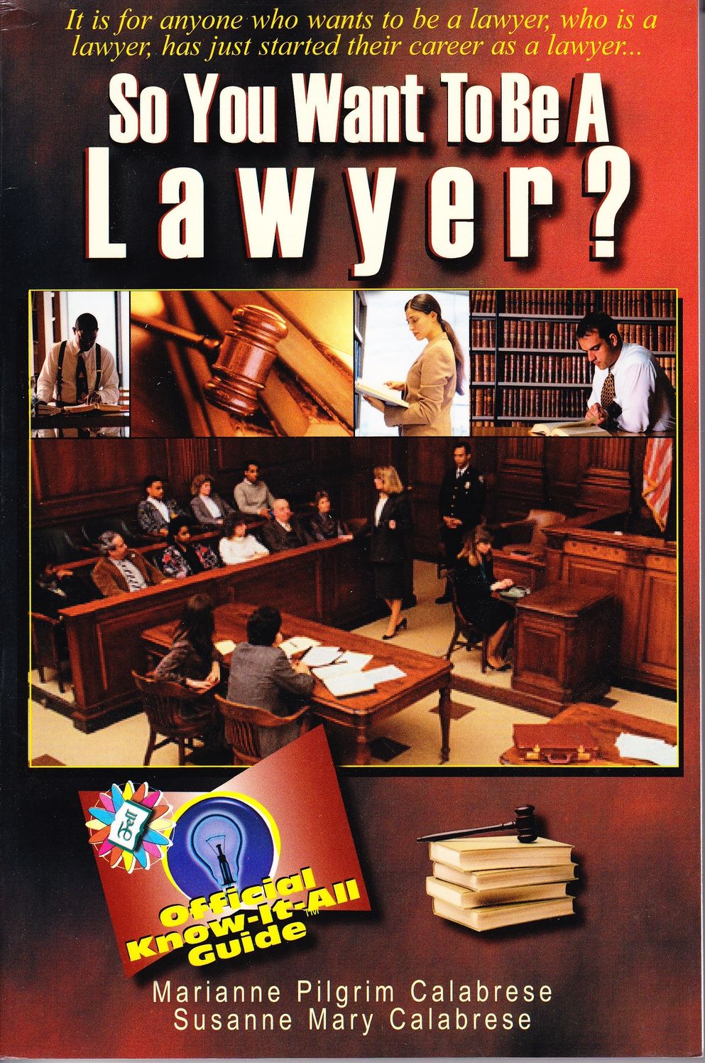So You Want to Be a Lawyer?: A Guide to Success in the Legal Profession