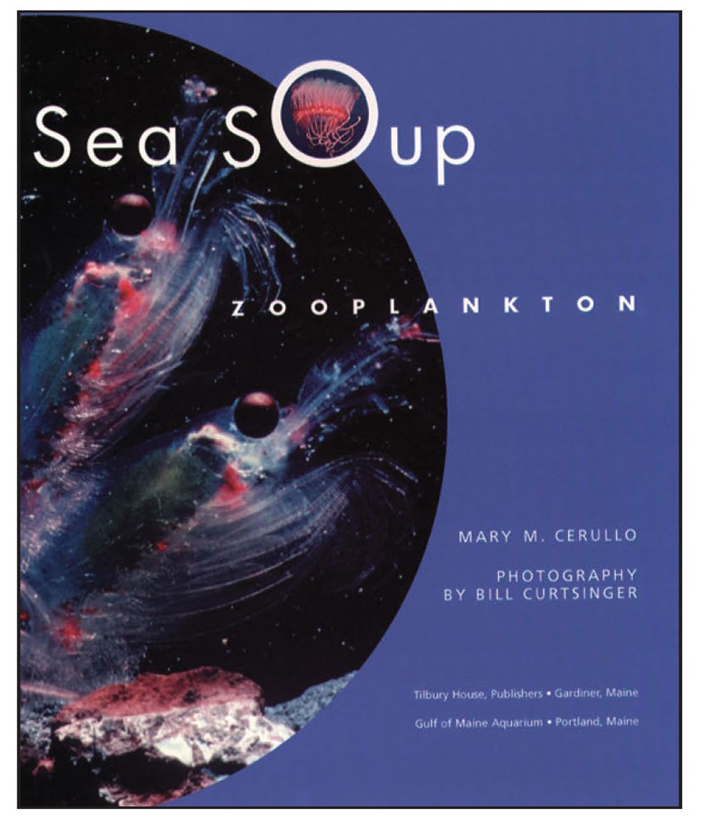 Sea Soup: Zooplankton