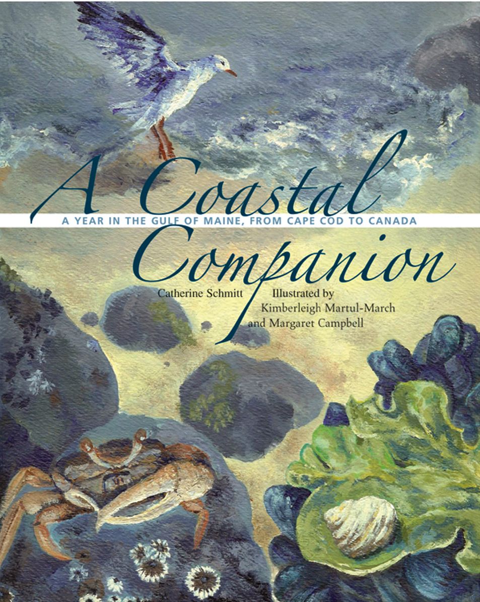 A Coastal Companion: A Year in the Gulf of Maine, from Cape Cod to Canada