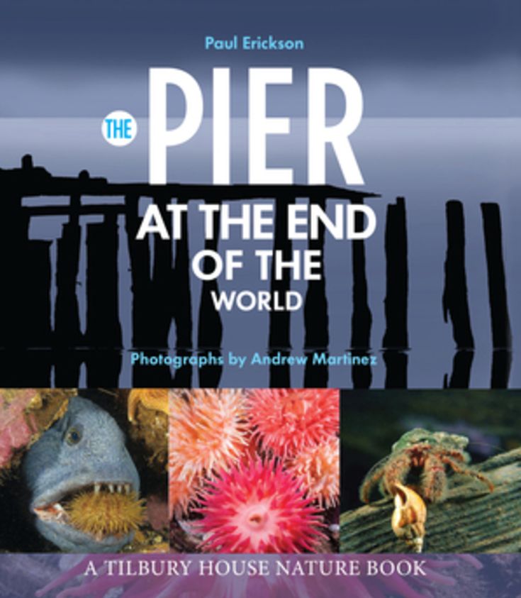 The Pier at the End of the World