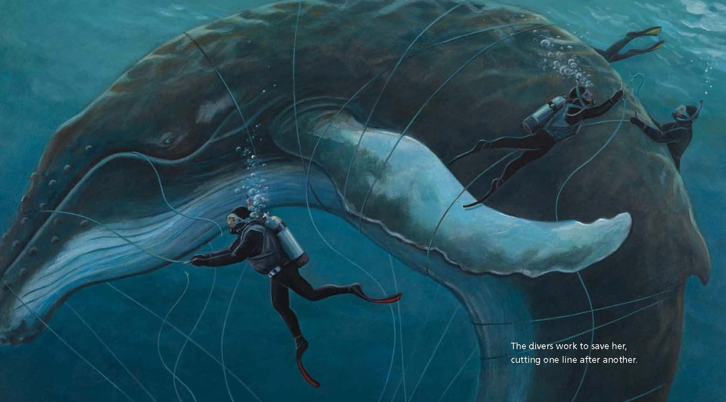 The Eye of the Whale: A Rescue Story