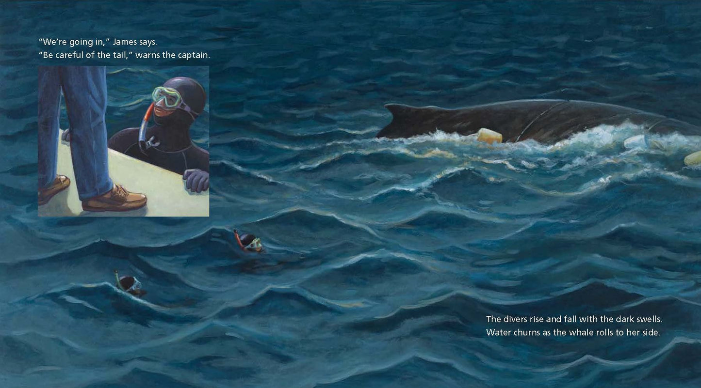 The Eye of the Whale: A Rescue Story
