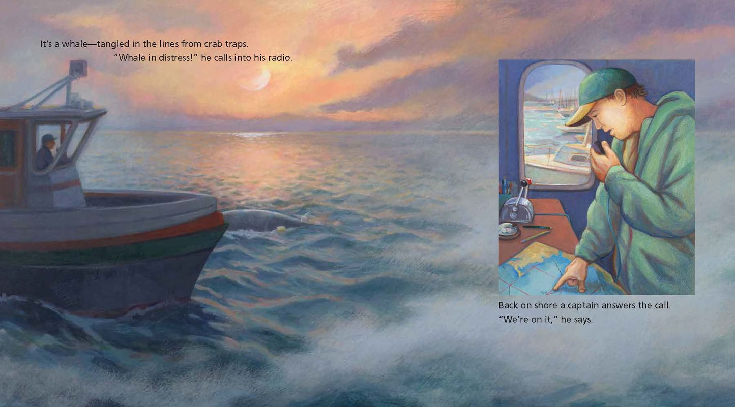 The Eye of the Whale: A Rescue Story